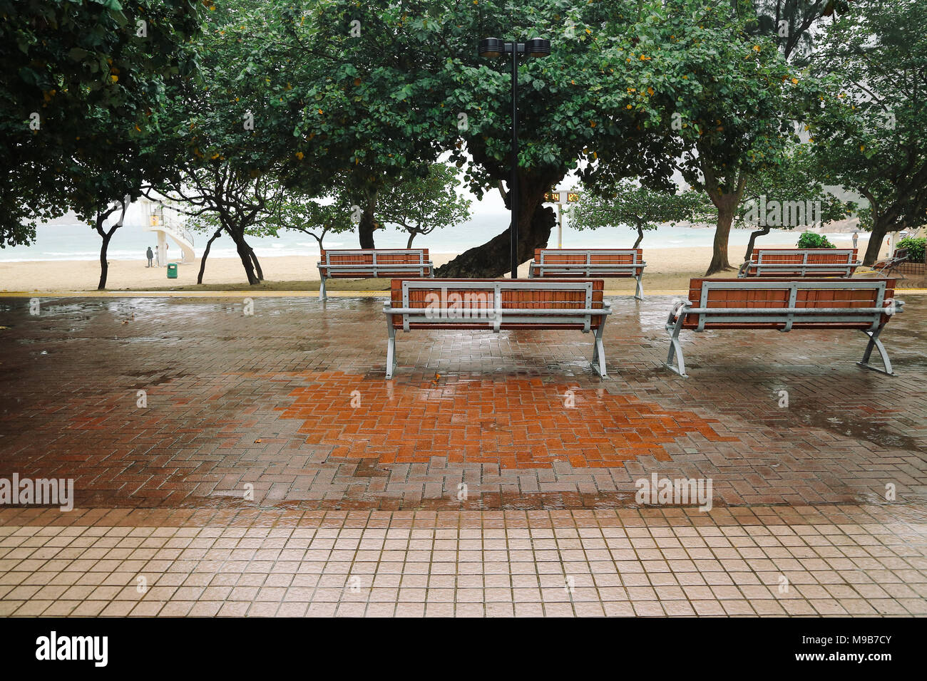 Banc en bois sous arbre à jour de pluie dans la région de Shek o beach, Hong Kong Banque D'Images