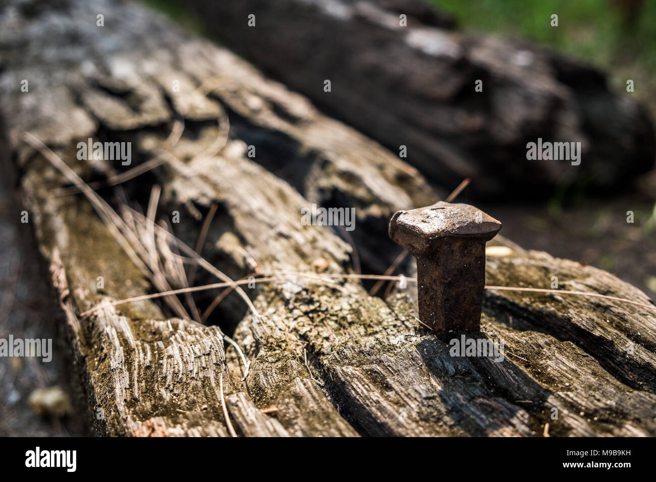 Clou de voie ferrée Banque de photographies et d'images à haute résolution  - Alamy