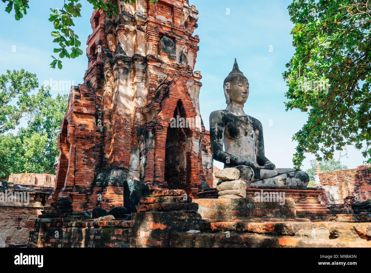 Statue de Bouddha dans le temple de Wat Maha That, Ayutthaya, Thaïlande Banque D'Images