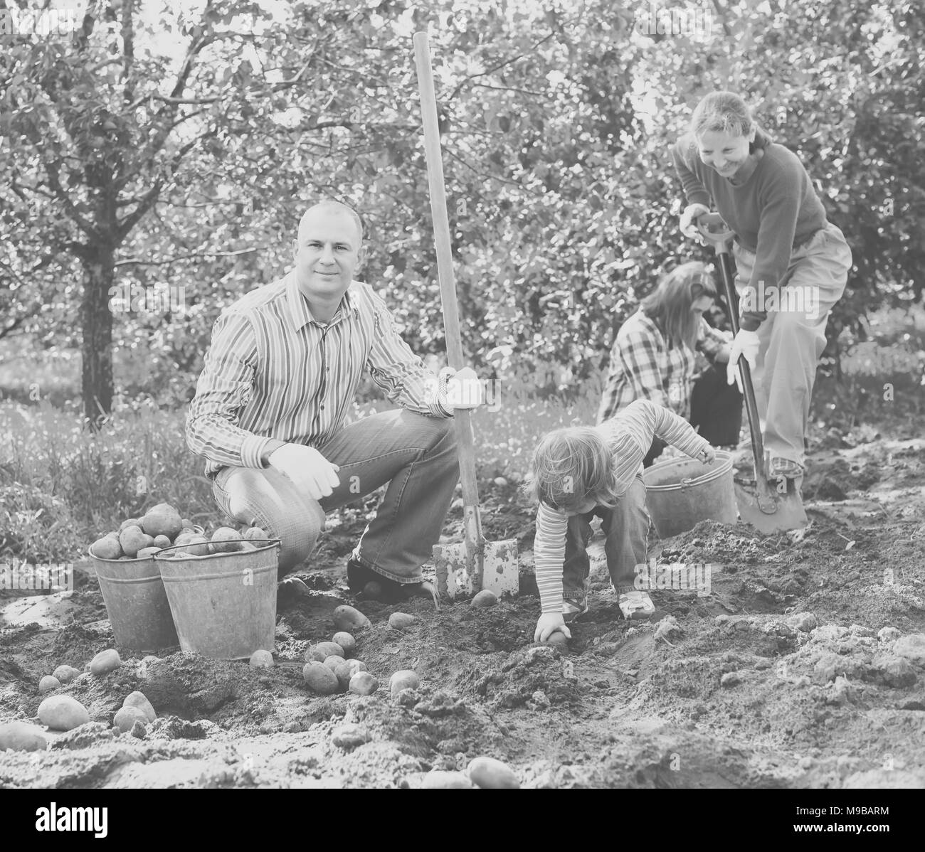 Famille heureuse à la récolte des pommes dans le jardin de légumes Banque D'Images