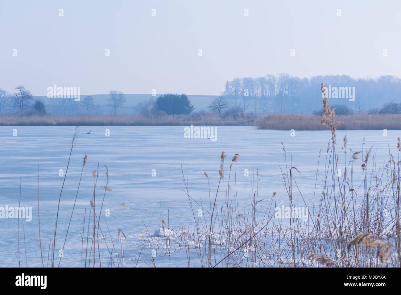Pologne Météo. Natura 2000,Warszawa, Pologne. Le 24 mars 2018. En dépit de la calla et printemps astronomique, la glace reste sur les réservoirs d'eau. Credit : w124merc / Alamy Live News Banque D'Images