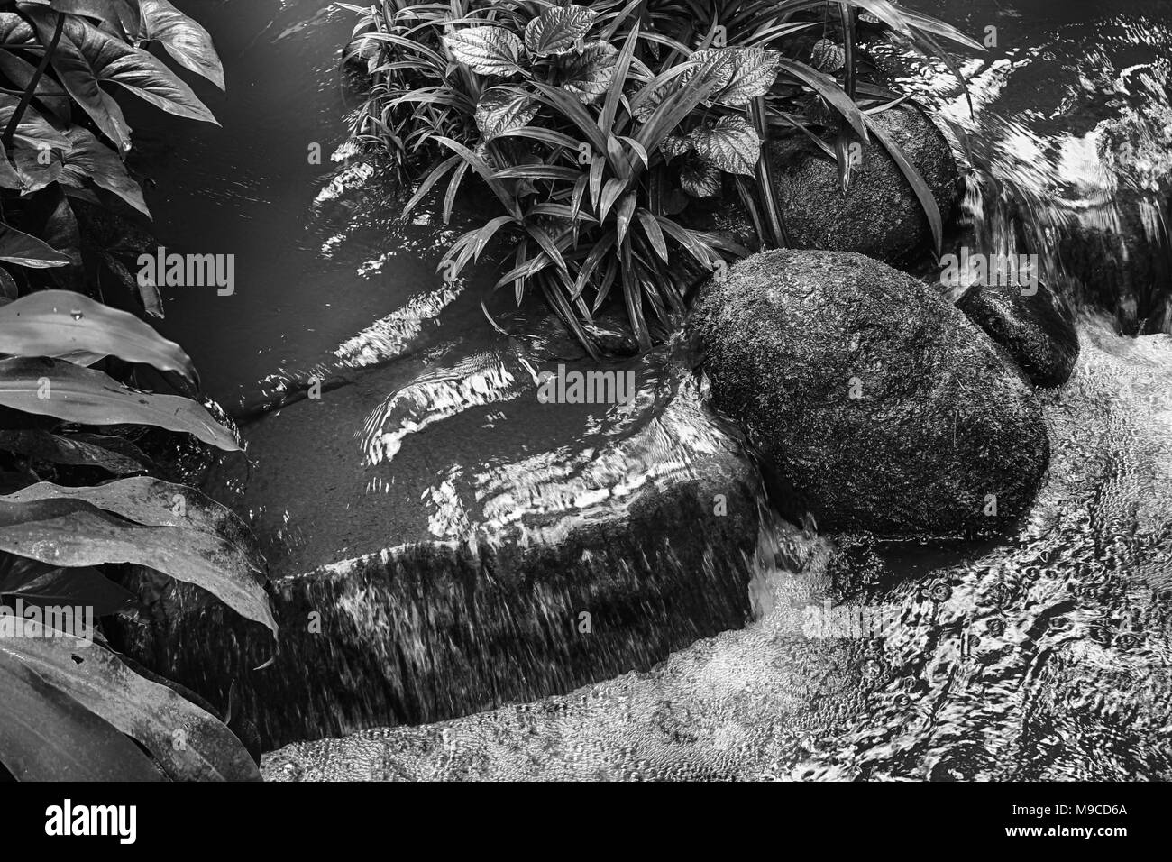 De belles chutes d'eau dans le parc national de Singapour. Zoo Banque D'Images