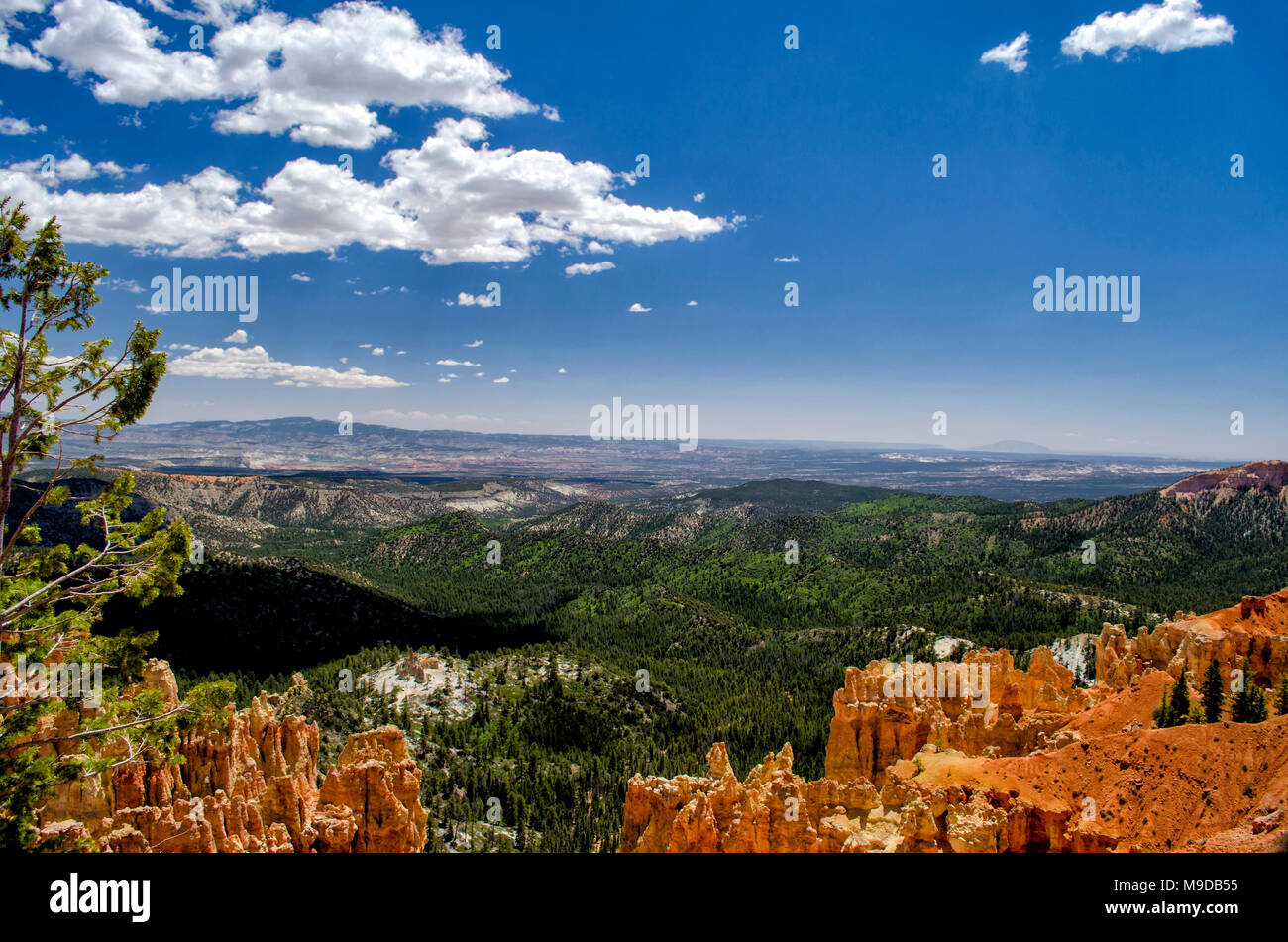 Un panorama des formations de roche de grès d'orange et de falaises avec une vallée verte ci-dessous sous un ciel bleu avec des nuages blancs moelleux. Banque D'Images