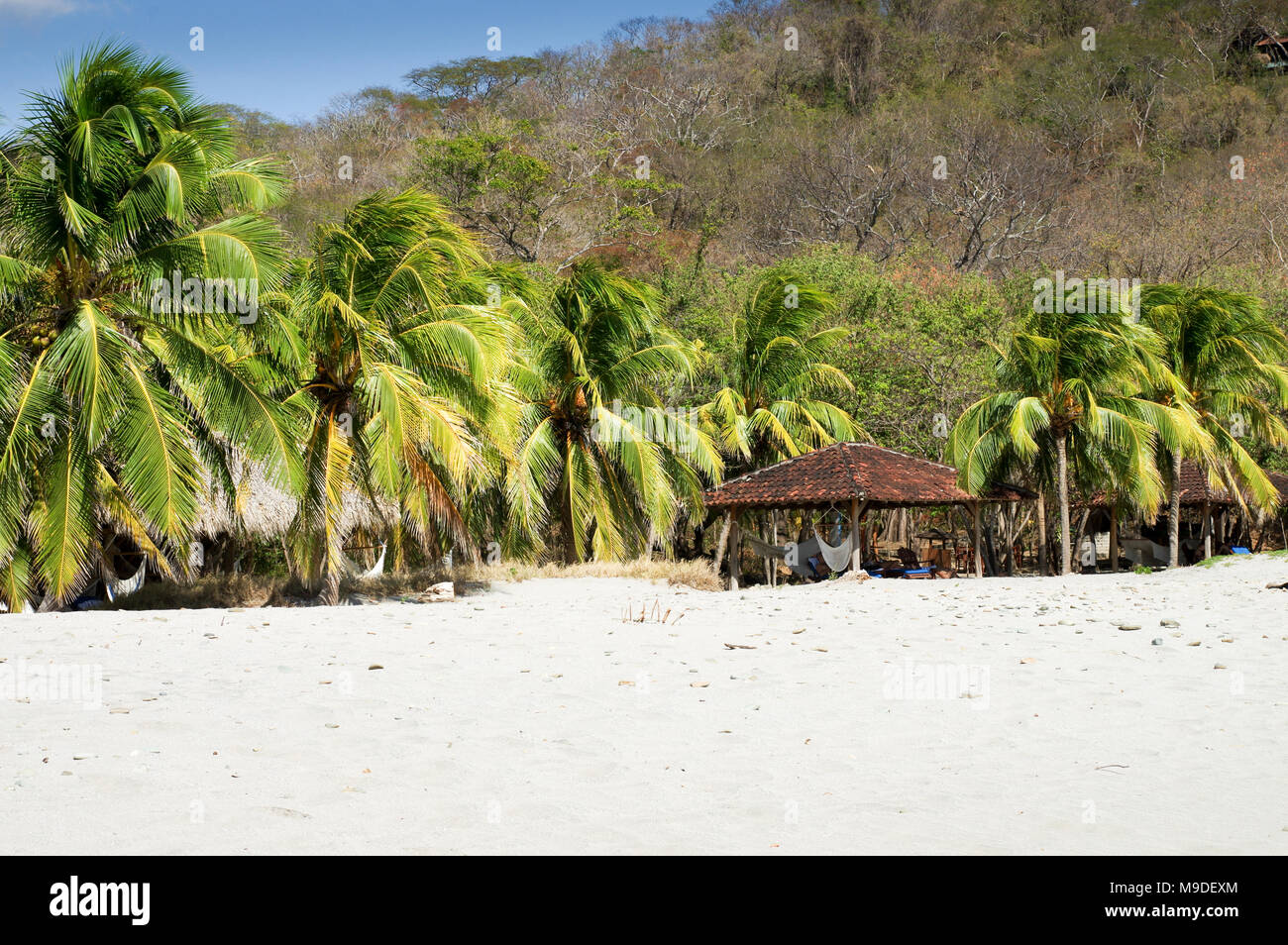 Palm-frienged la plage privée de l'hôtel Morgan's Rock Hacienda et Ecolodge au Nicaragua, en Amérique centrale Banque D'Images