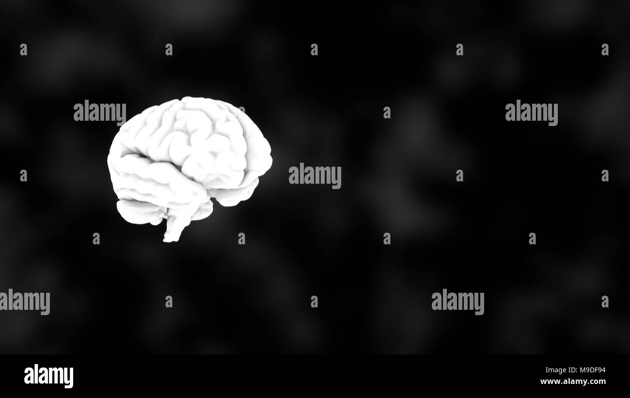3D human brain blanc sur fond noir, de la science, de l'anatomie du rendu 3D Banque D'Images
