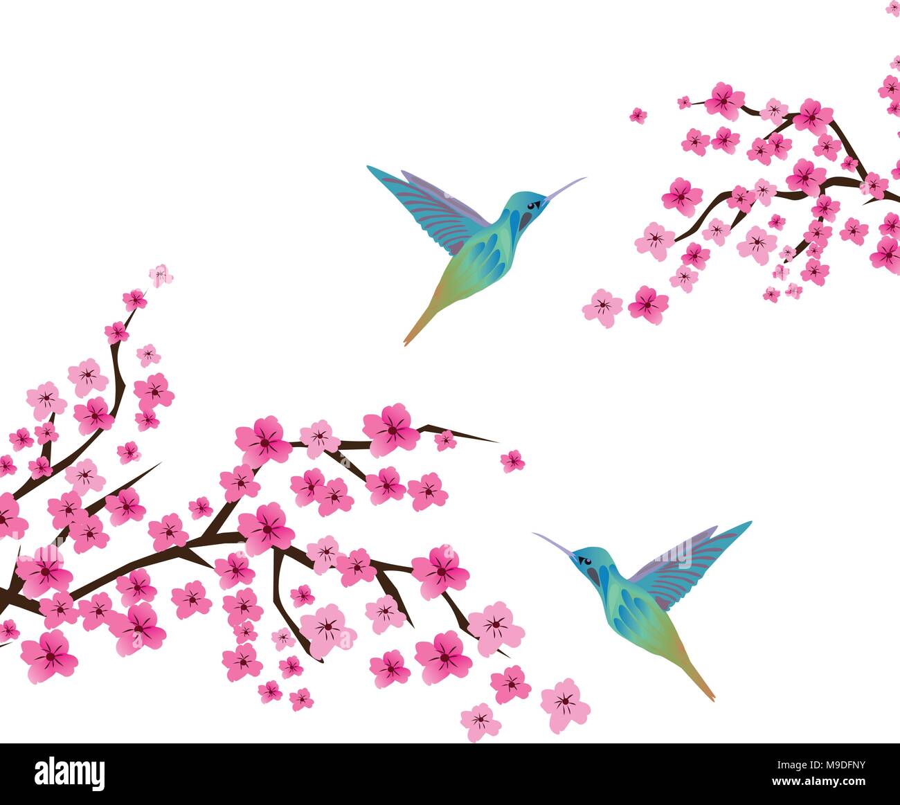 Vector illustration de cherry blossom branches avec les colibris Illustration de Vecteur