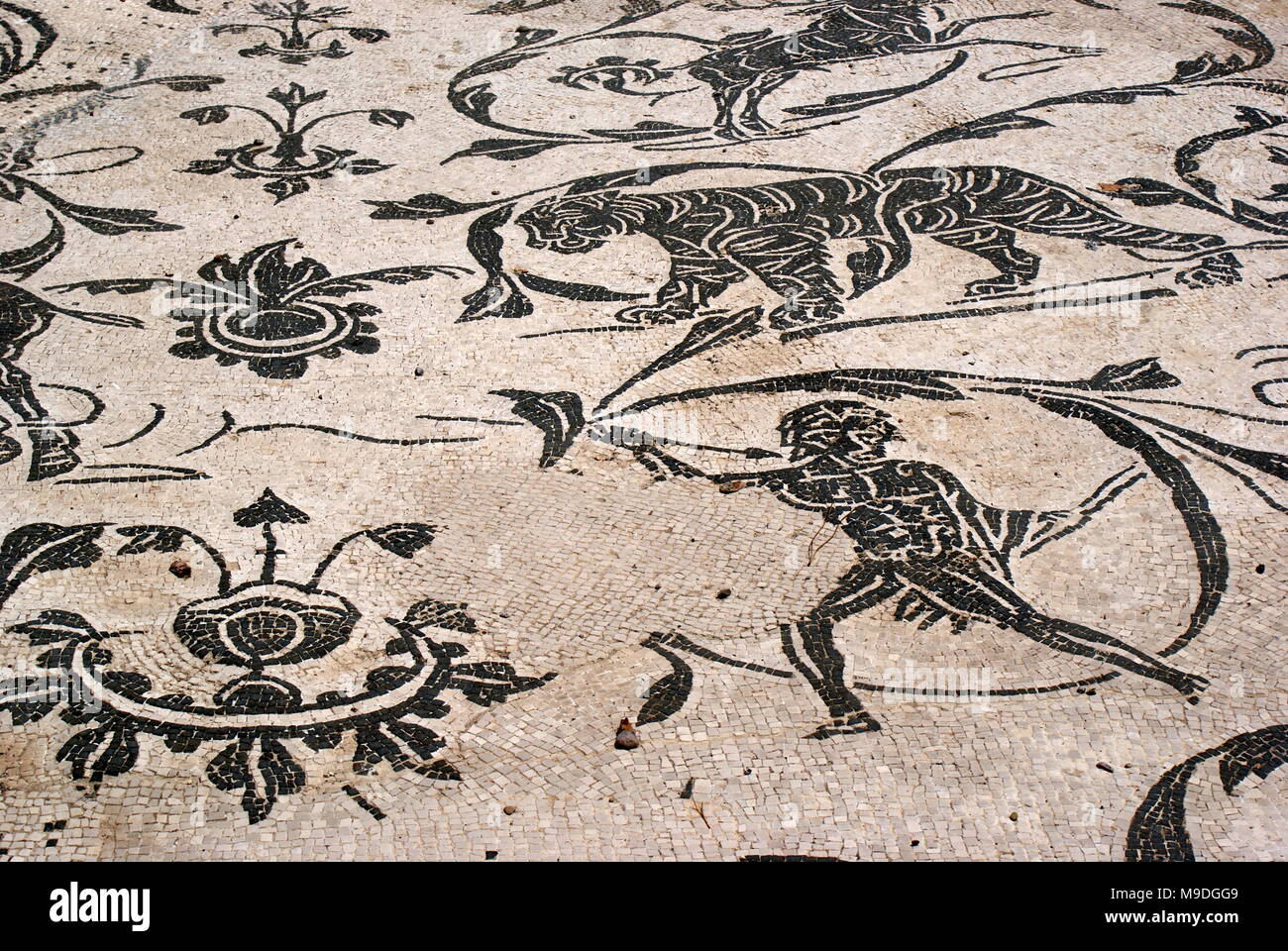 Détail de mosaïque romaine, site archéologique d'Ostia Antica, l'emplacement de la ville portuaire de la Rome antique, Rome Italie Banque D'Images