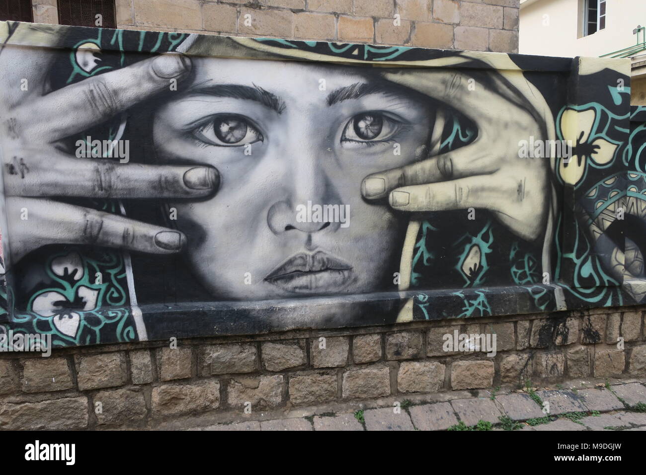 Fresques, graffiti sur un mur de la ville dans une rue d'Antananarivo, Madagascar. Banque D'Images