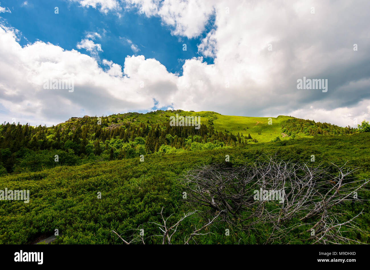Magnifique paysage de montagne en été. paysage spectaculaire avant la tempête Banque D'Images