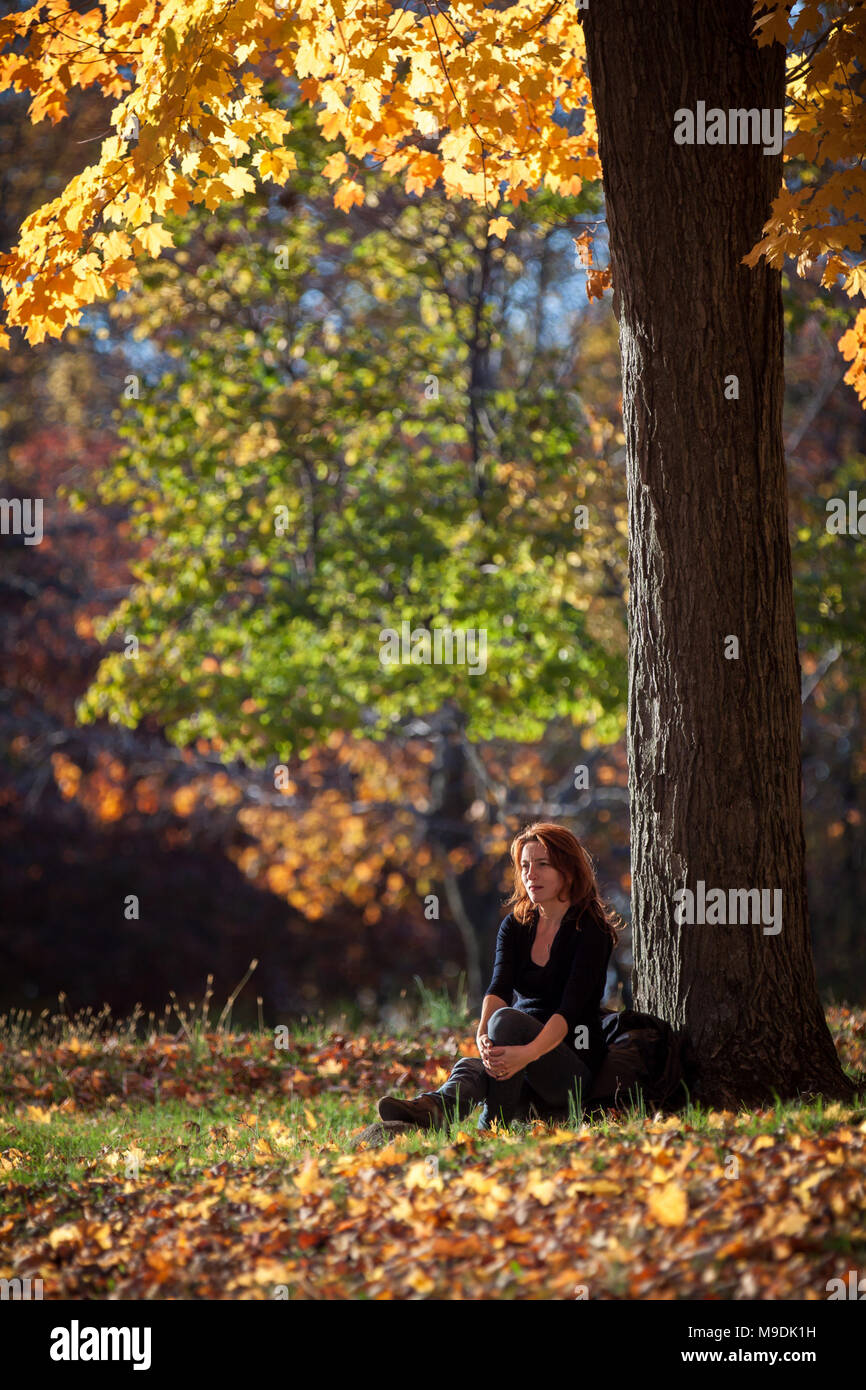 Femme mélancolique se repose sous un arbre. L'après-midi chaud émet une lumière à travers le feuillage d'automne, dans la région de Ringwood State Park, NJ Banque D'Images