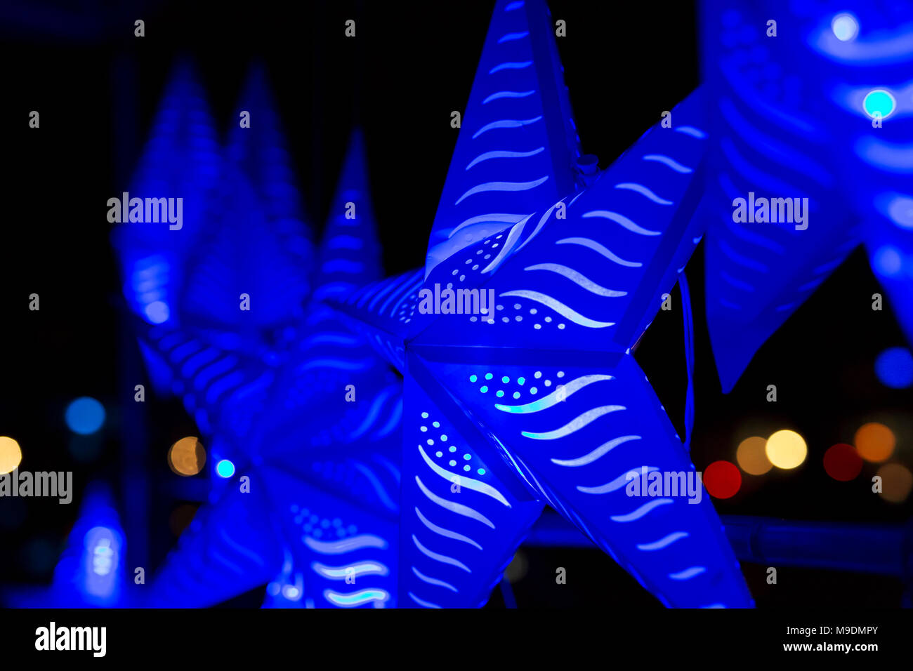 Blue Star lights hanging in a park à Waterfire Providence, Rhode Island. Banque D'Images