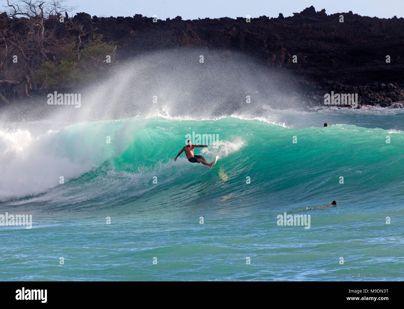 Surfer à Makena, Maui, Hawaii. Banque D'Images