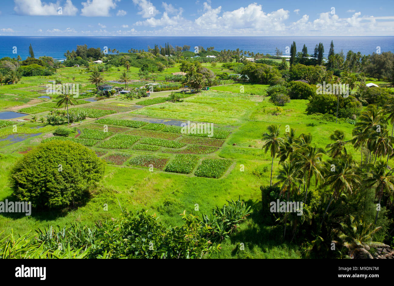 Vue aérienne de Keanae Peninsula, Maui, Hawaii. Banque D'Images