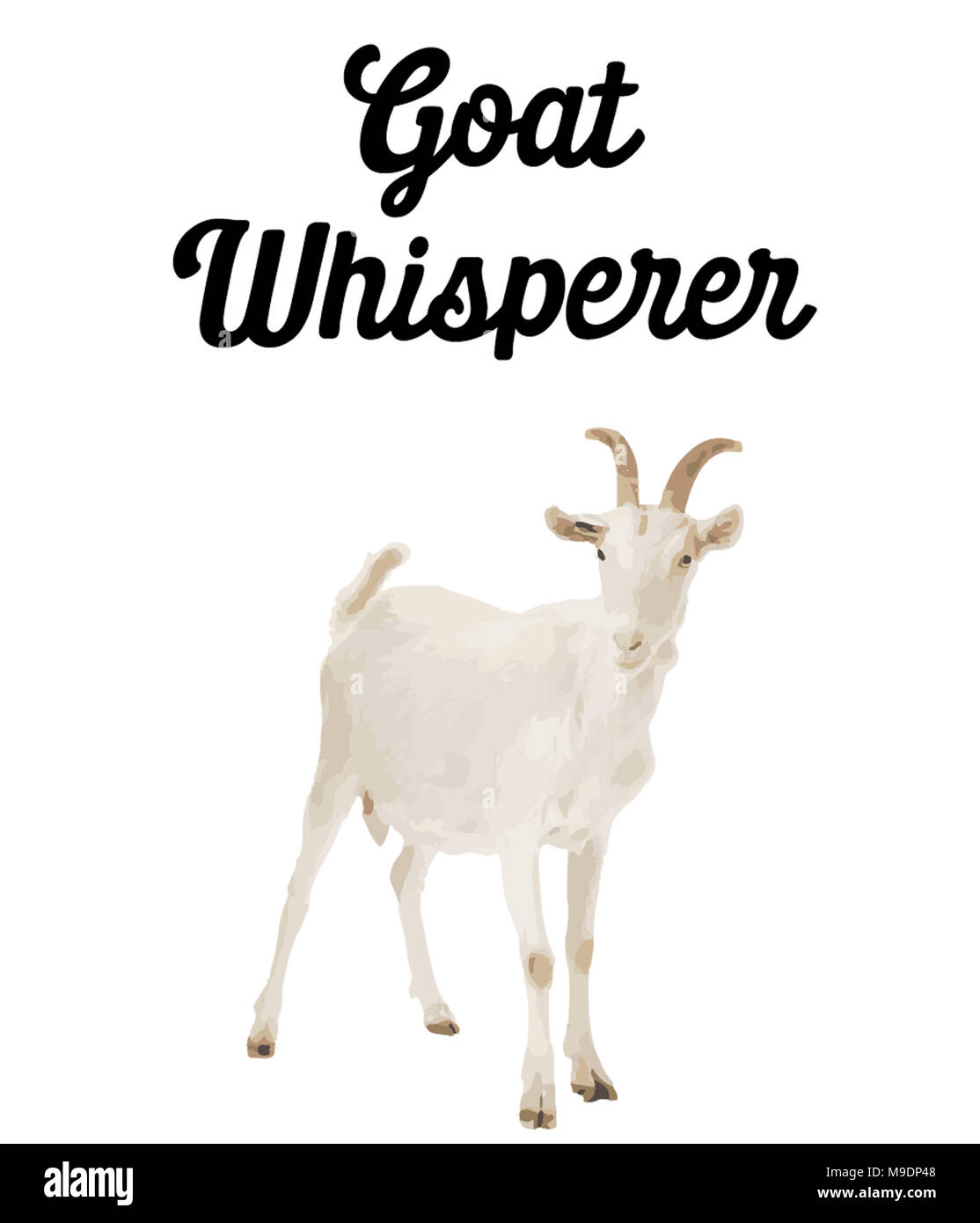 Whisperer chèvre Banque D'Images