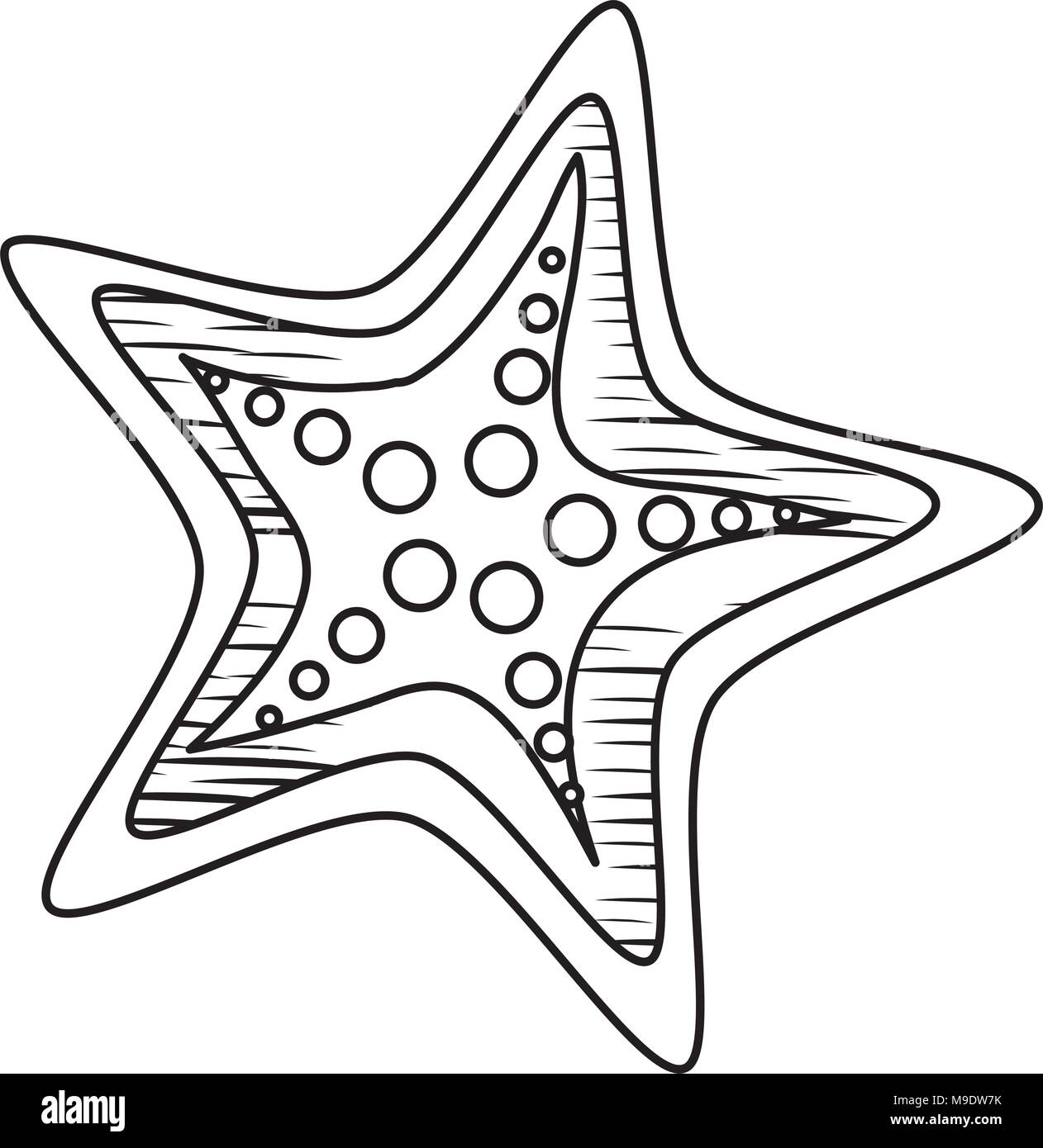 Croquis De L Icone De L Etoile De Mer Sur Fond Blanc Vector Illustration Image Vectorielle Stock Alamy Croquis De L Icone De L Etoile De Mer Sur Fond Blanc Vector Illustration Image Vectorielle Stock Alamy