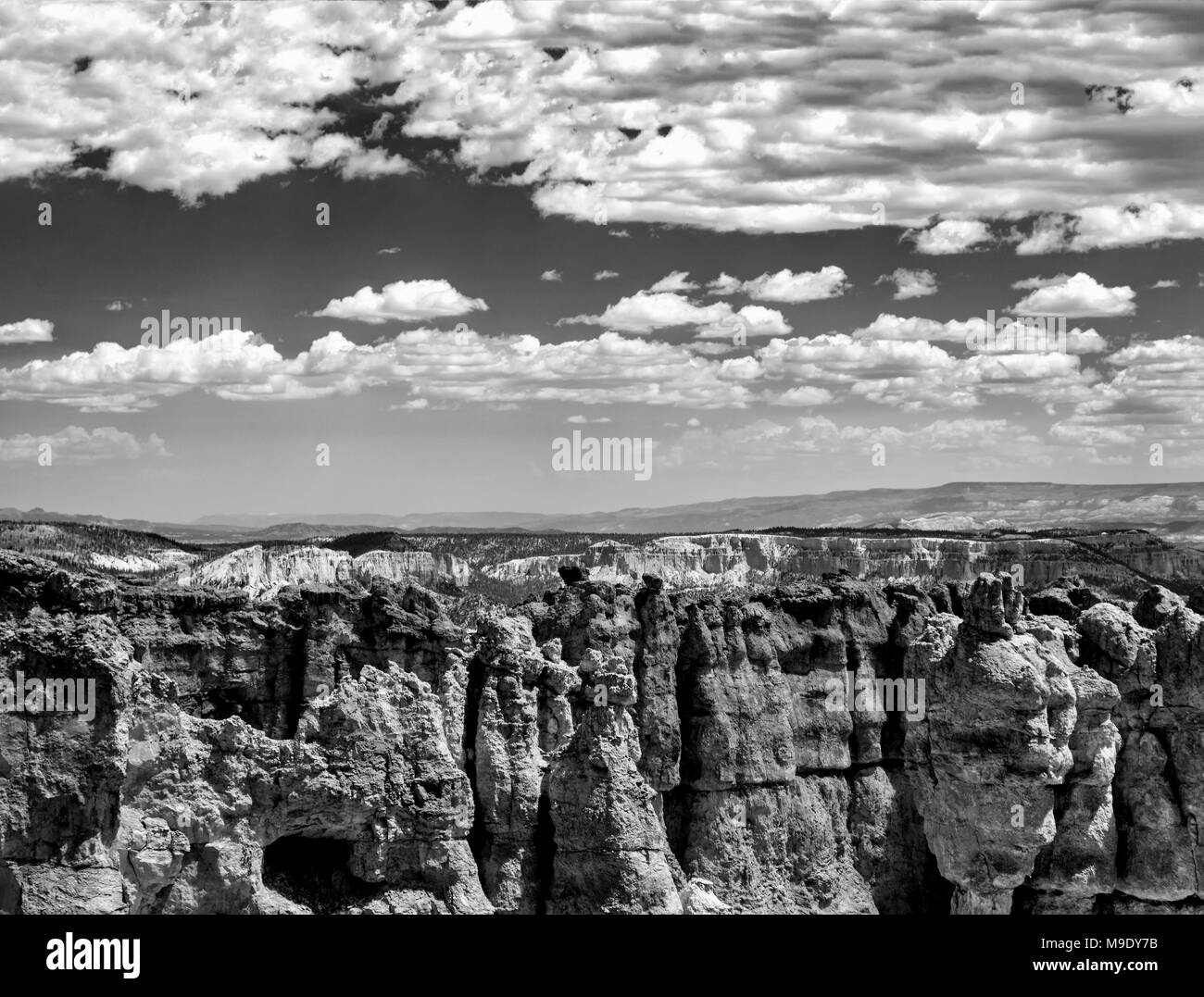 Beaux clochers de grès et des vallées, des canyons érodés sous ciel clair avec des nuages. Image en noir et blanc. Banque D'Images