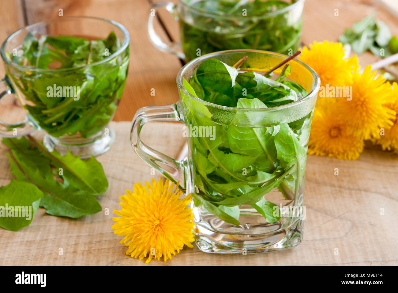 Thé de pissenlit - eau chaude versé sur feuilles de pissenlit frais dans une tasse de thé, avec des fleurs de pissenlit dans l'arrière-plan Banque D'Images
