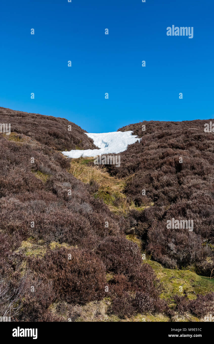 Un reste de la bête de l'Est. Snowdrift et Heather moorland, Sharnberry Teesdale, Gill, North Pennines, UK, with copy space Banque D'Images