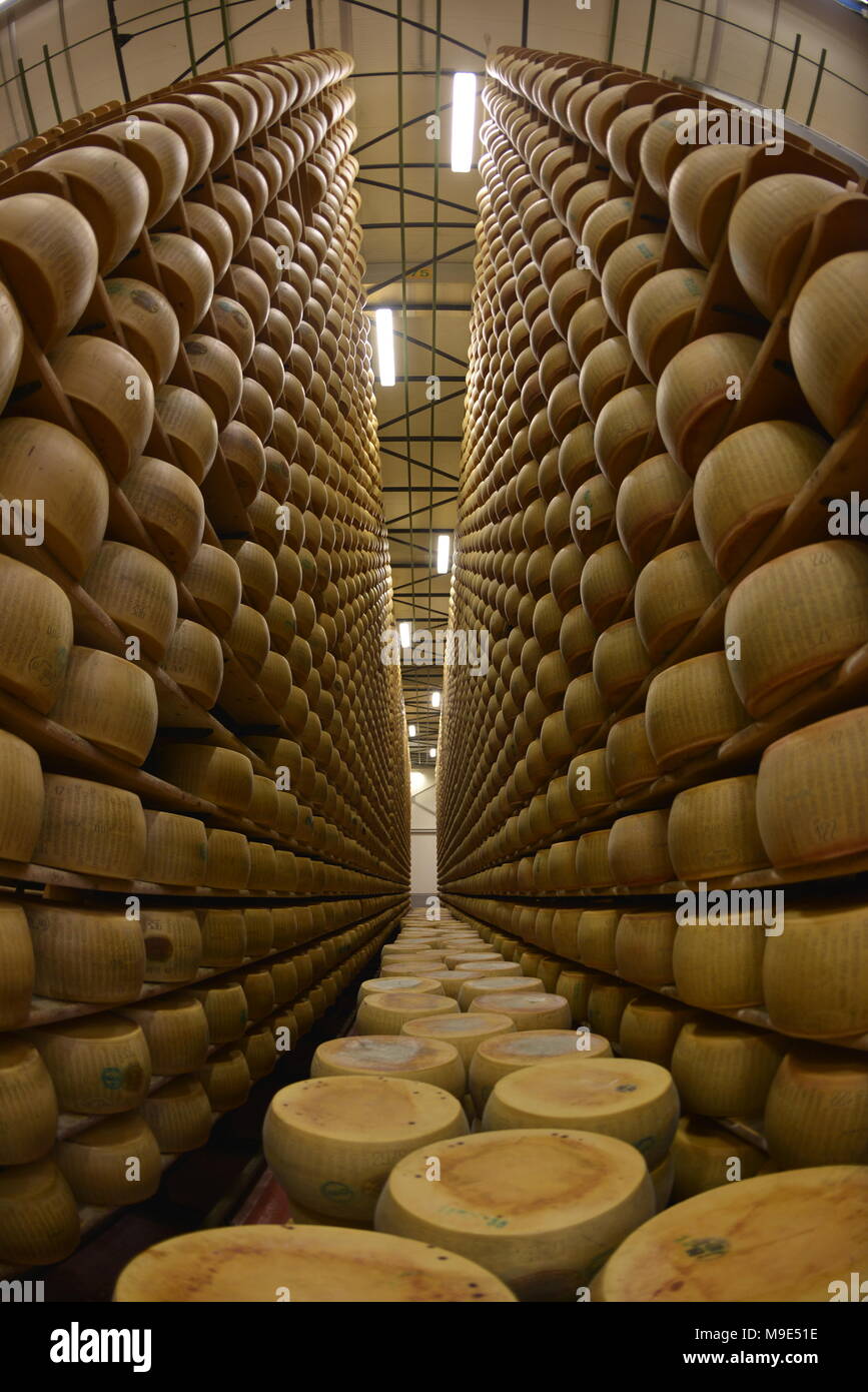 Fromage Parmesan Parmigiano Reggiano : stockage dans Reggio Emilia, Italie Banque D'Images