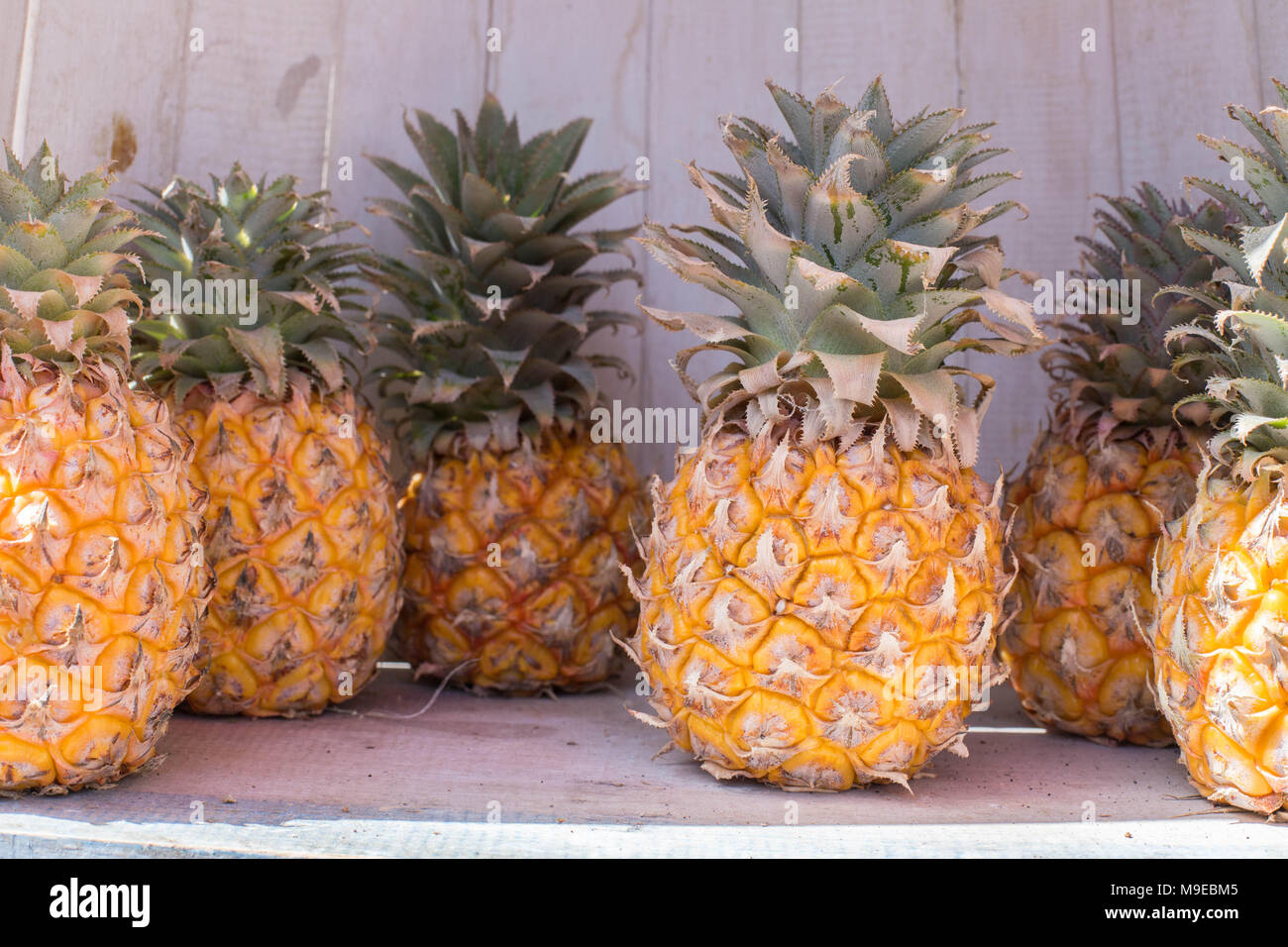 L'ananas sur une planche en bois de l'été fruits tropicaux les feuilles jaune et vert doux et d'aliments sains de vie photographie la lumière du jour Banque D'Images
