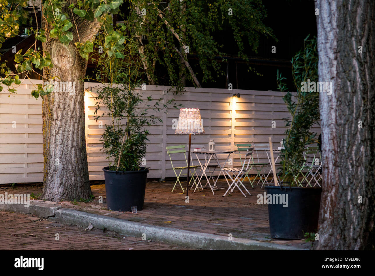 Café vide avec des chaises et tables rondes entre les arbres pendant la nuit Banque D'Images