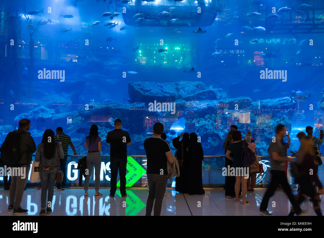 Dubaï, Émirats arabes unis - 10 janvier 2018 : l'activité touristique très populaire dans le plus gros centre commercial du monde est à regarder la vie marine à l'aquarium magnifique avec Banque D'Images