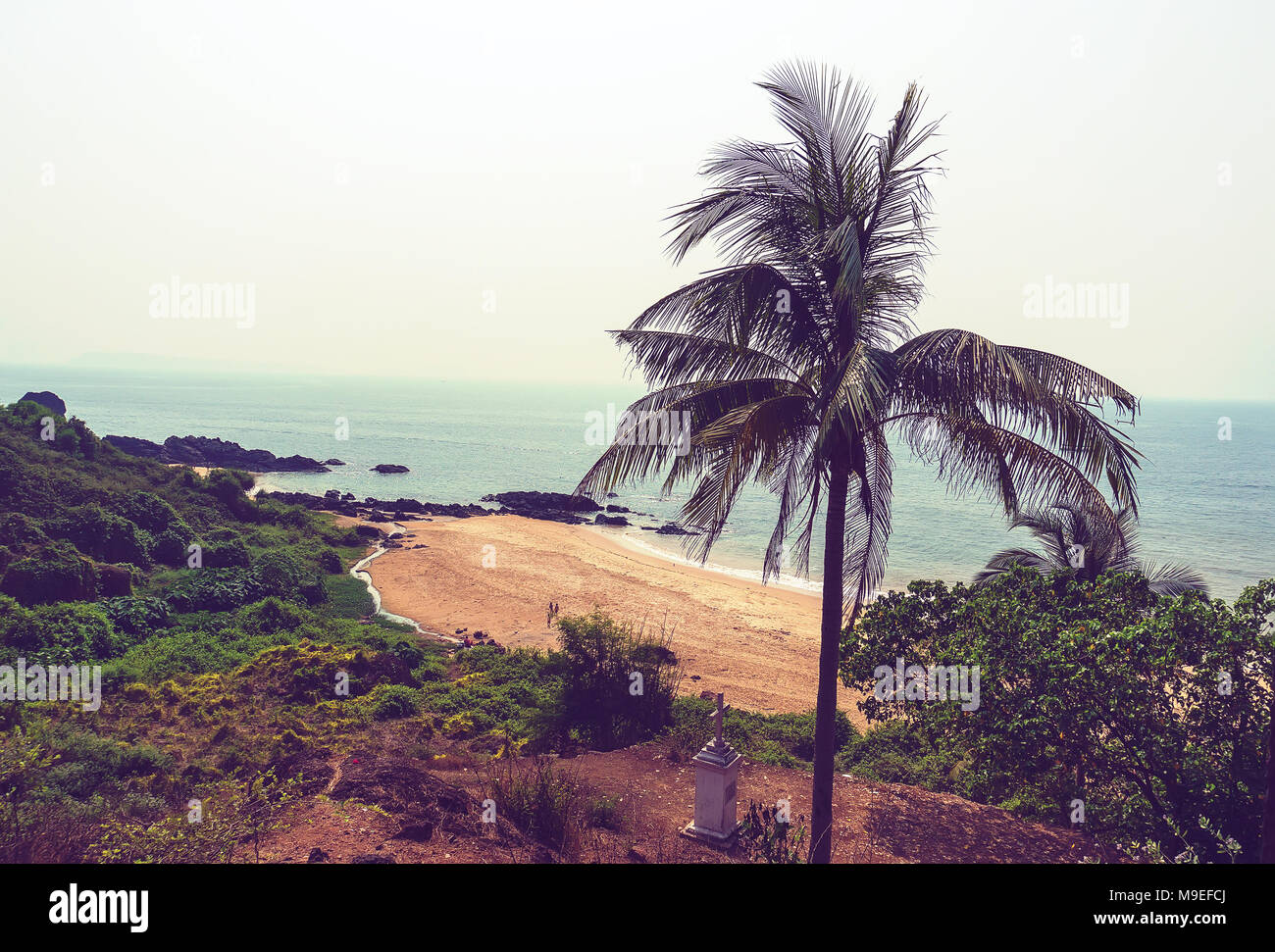 Dans la nature de fond style vintage. Plage du Sud de Goa. Palmier au premier plan contre le bleu de la mer. Banque D'Images