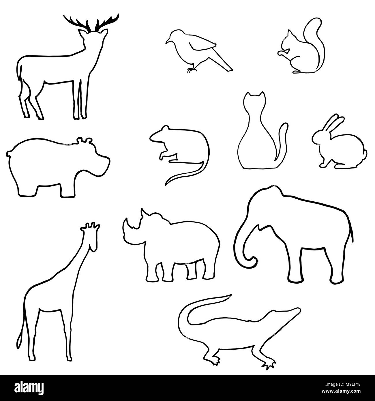 Vectoriel animal sauvage. Cerf, hippopotame, oiseau, rat, chat lapin rhinocéros éléphant girafe crocodile. Illustration de Vecteur