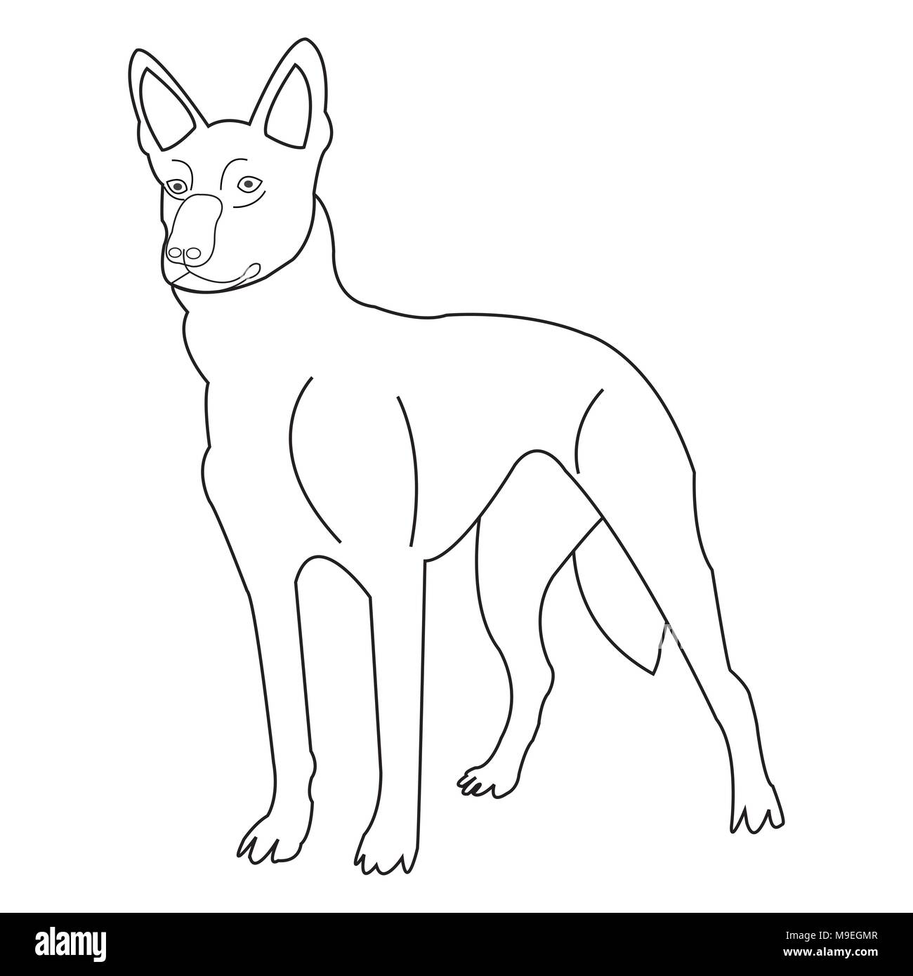 Vector chien sur fond blanc Illustration de Vecteur