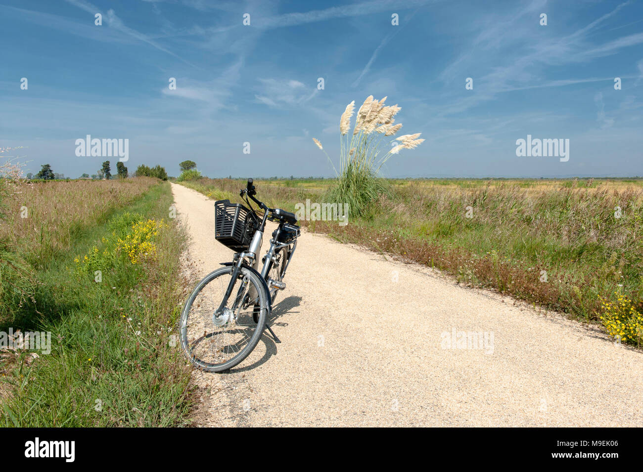 Randonnée à vélo sur la piste cyclable de l'ViaRhône à travers les zones humides de Camargue, dans le sud de la France Banque D'Images