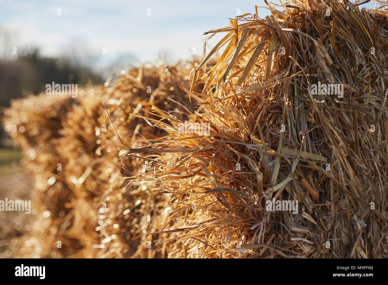 Les balles de foin à une vente de boue en pays Amish, Gap, comté de Lancaster, Pennsylvanie, USA Banque D'Images