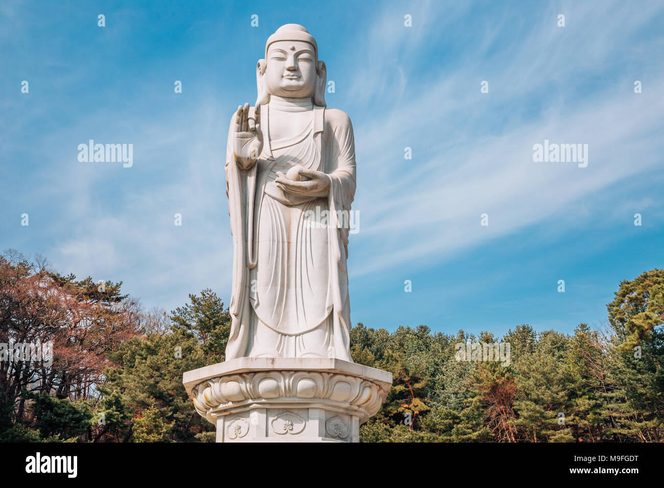 Statue de Bouddha dans le temple Donghwasa, Daegu, Corée Banque D'Images