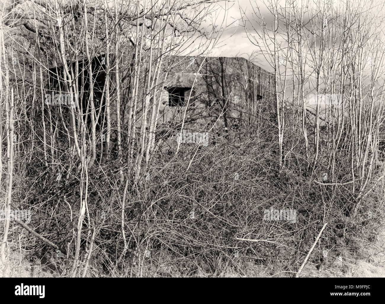 Un vieux, envahie par la relique et oublié de la Seconde Guerre mondiale dans la région de Cumbria. Ce Tambourin est assis à quelques mètres de la route principale A590 le long de la limite sud Banque D'Images