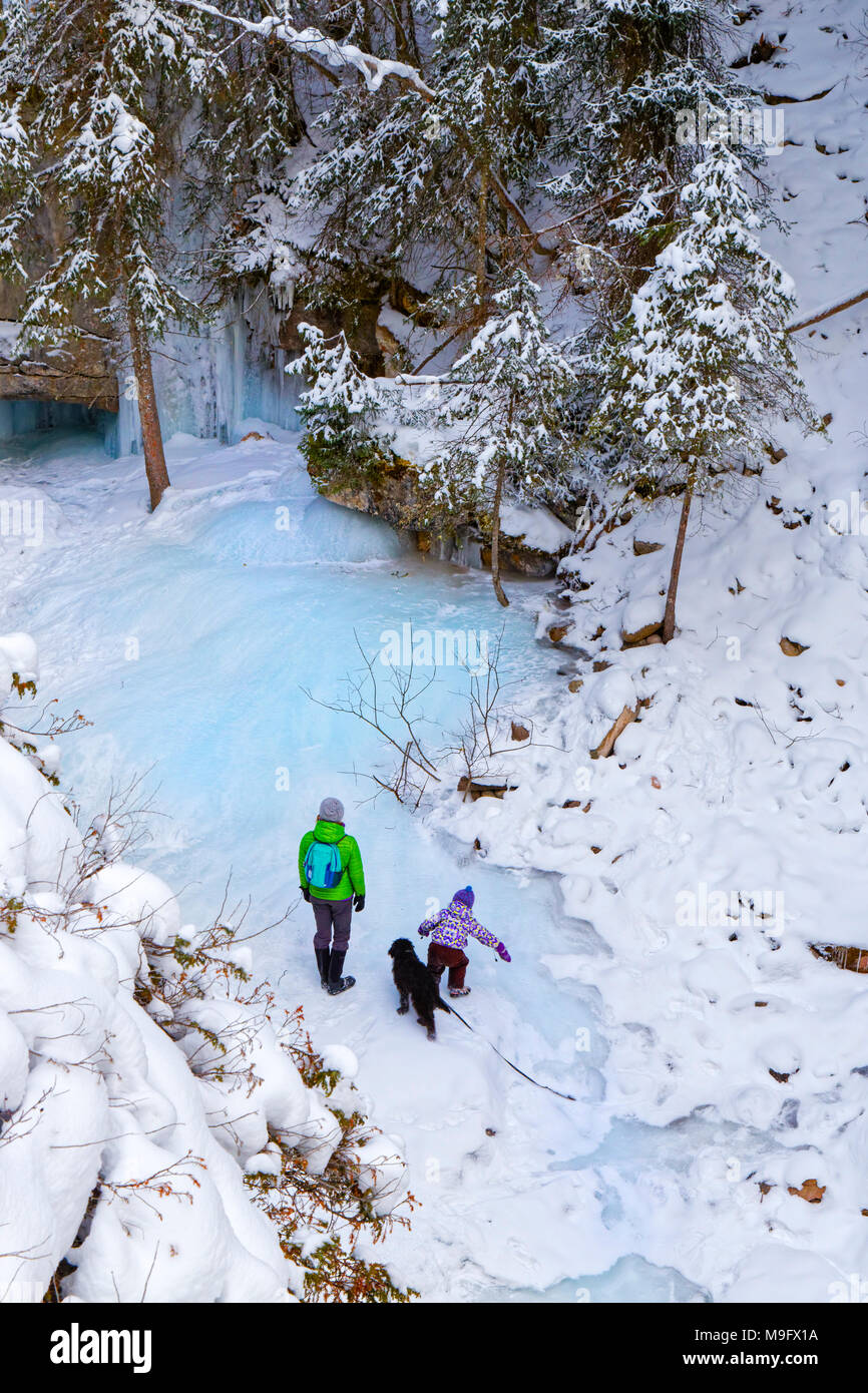 42 749,08877 un adulte, un enfant, et une promenade de chiens jouant sur glace neige dans le bas de la rivière Maligne Canyon sur frozen Banque D'Images