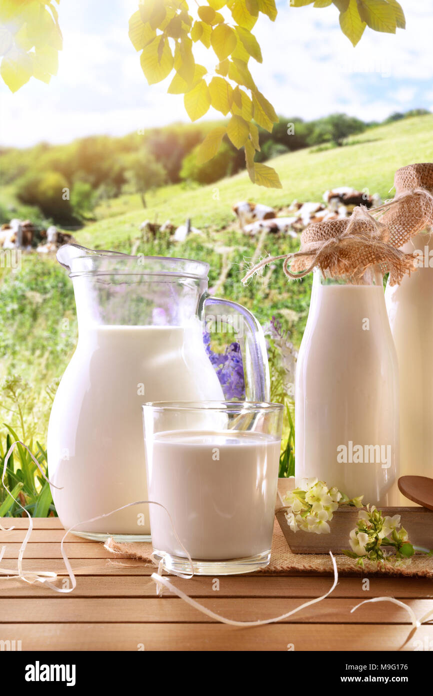 Les contenants de verre rempli de lait et des vaches laitières de l'arrière-plan sur une prairie ensoleillée. Composition verticale. Banque D'Images