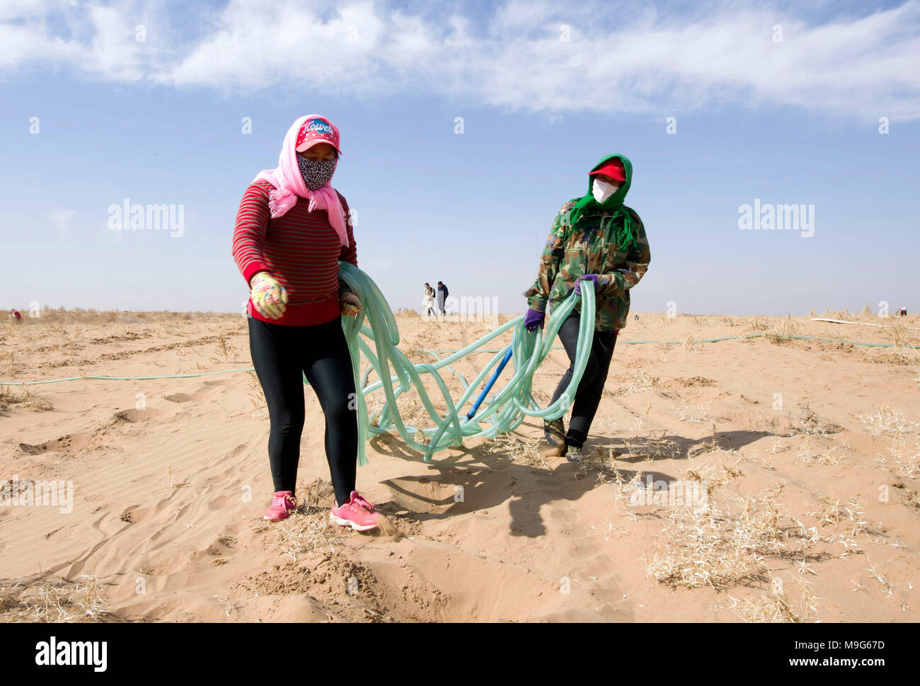 Hohhot, Chine, région autonome de Mongolie intérieure. Mar 25, 2018. Préparer les travailleurs à l'eau arbres sacsaoul à Ulan Buh désert dans le comté de Dengkou Bayannur ville du nord de la Chine, région autonome de Mongolie intérieure, le 25 mars 2018. Le travail est en cours pour le désert vert dans Bayannur en plantant des arbres comme sacsaouls désert et les raisins. Credit : Liu Lei/Xinhua/Alamy Live News Banque D'Images