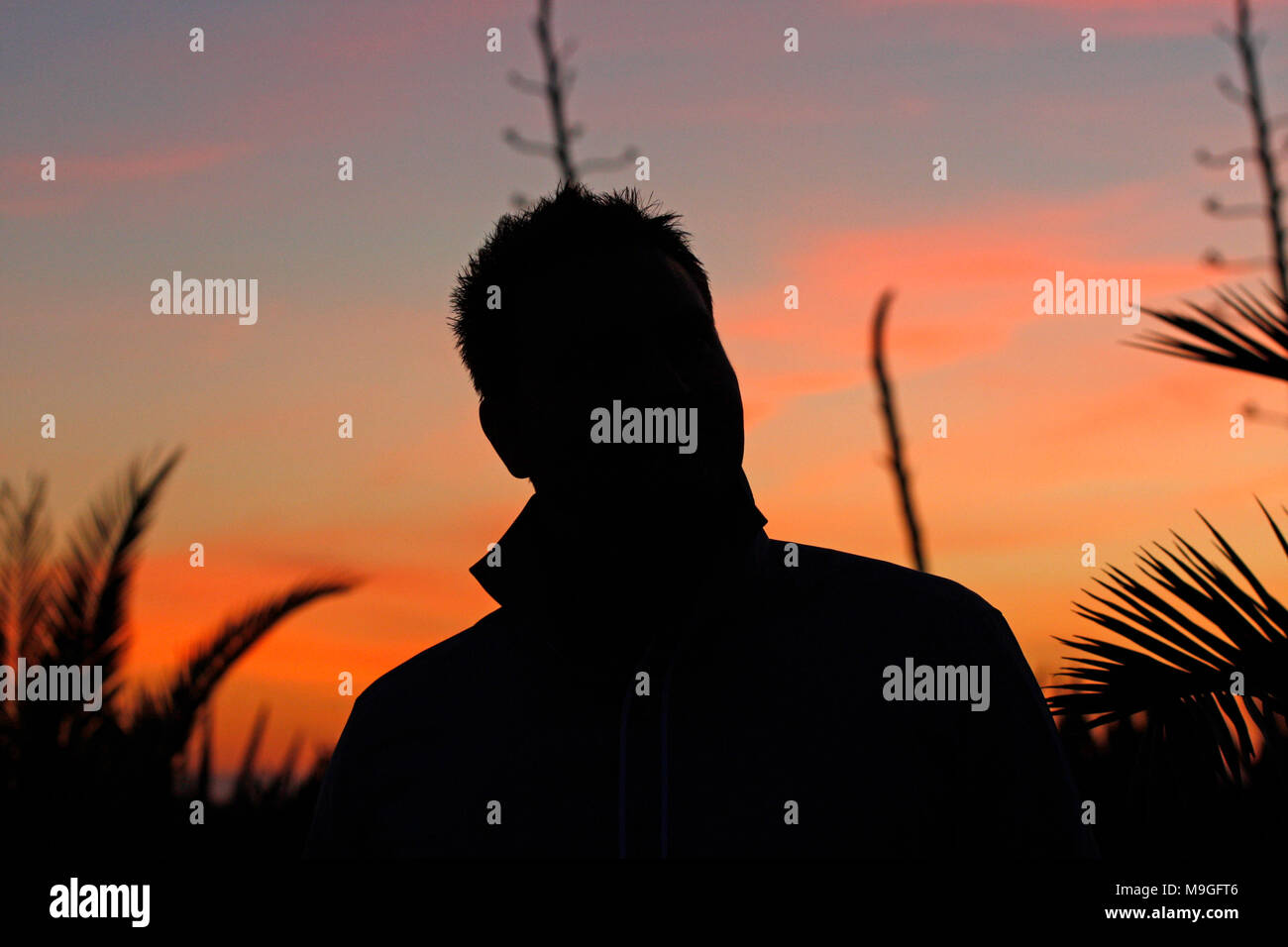 Ambiance coucher de soleil, de palmiers shadows Banque D'Images