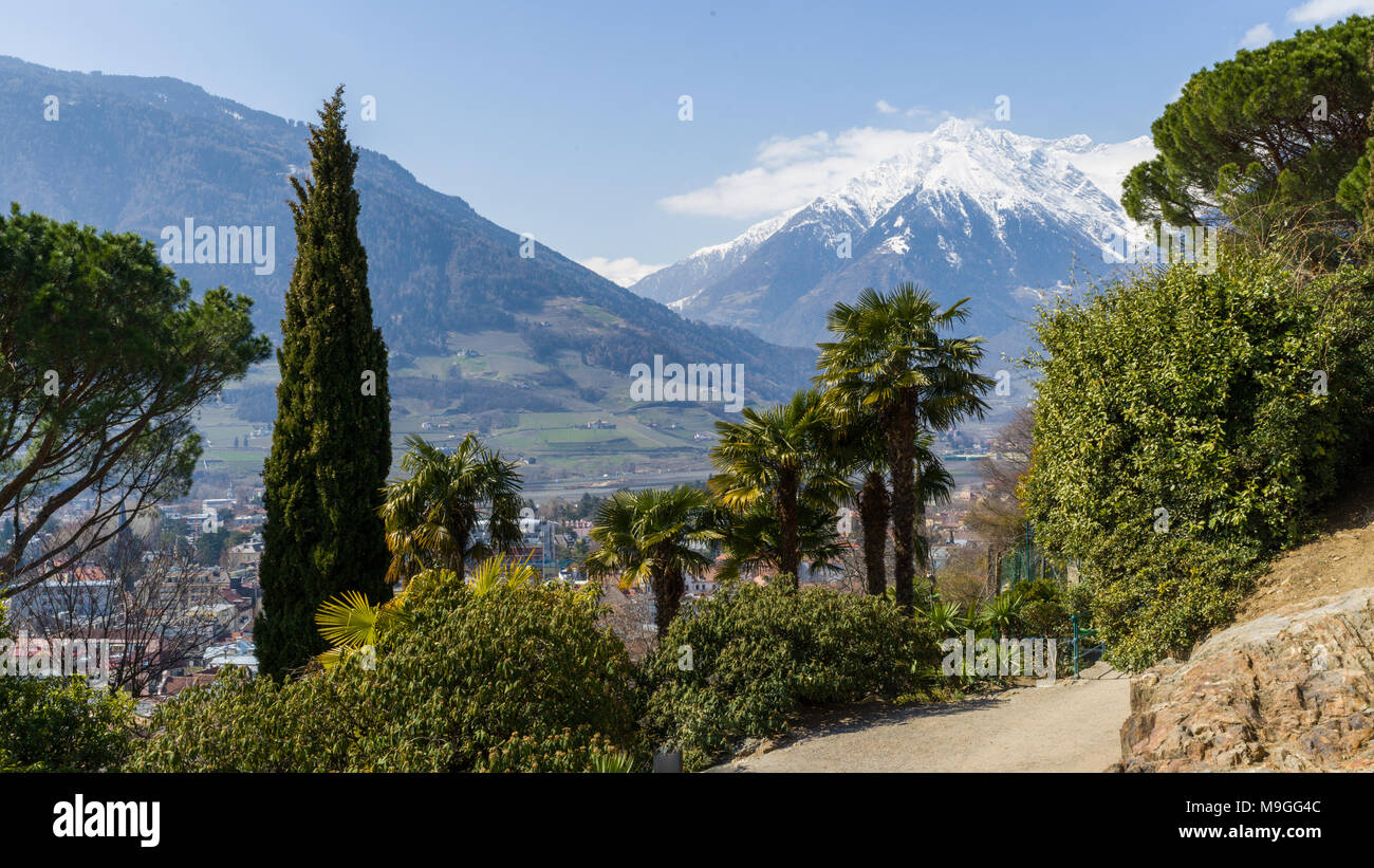 Bel Easter-Hike avec palmiers et montagnes couvertes de neige à Merano, Italie Banque D'Images