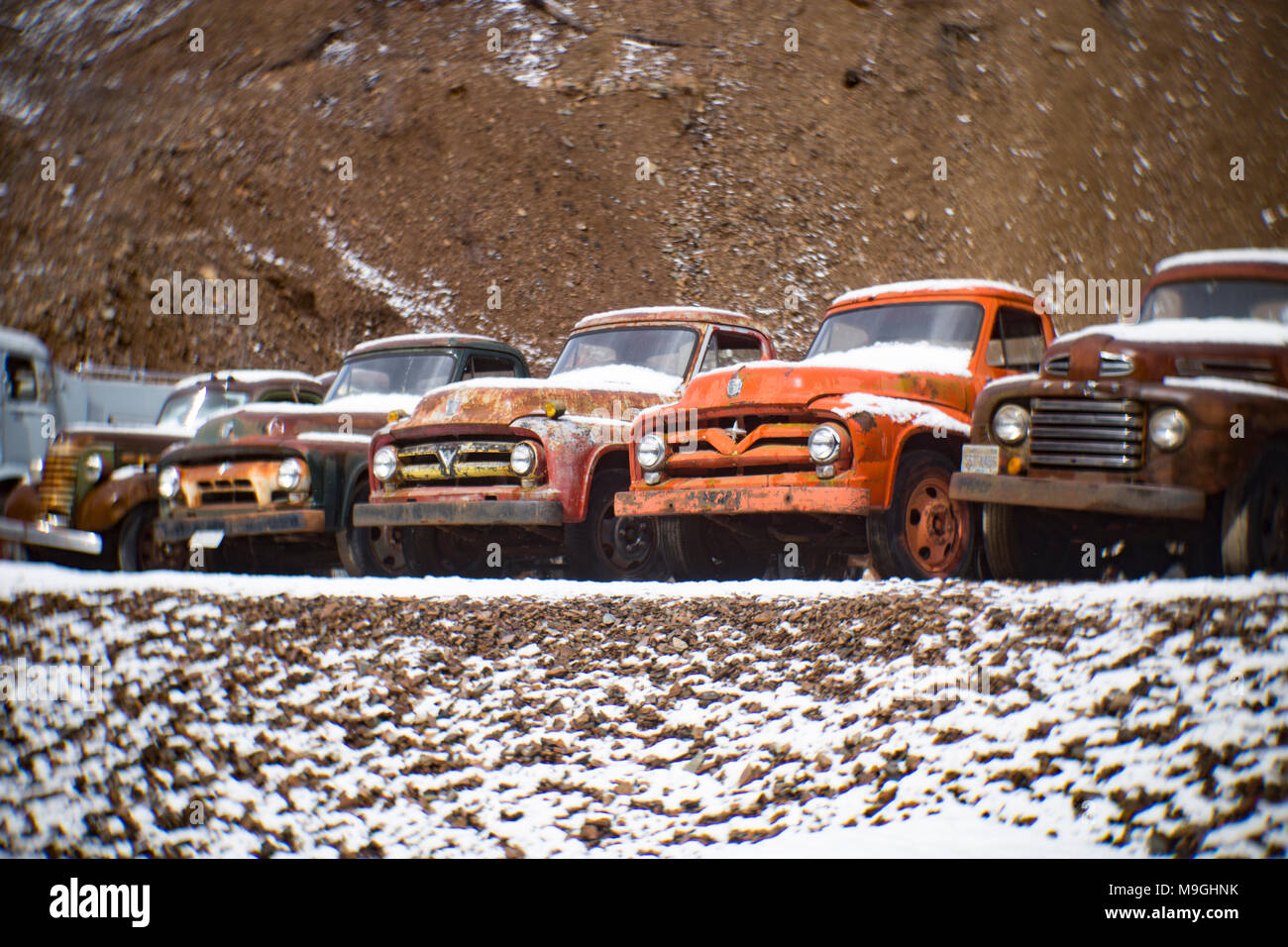 Une rangée de vieille Ford camions agricoles des années 1940 et 1950, dans une ancienne carrière, à l'Est de l'Idaho Clark Fork. Banque D'Images