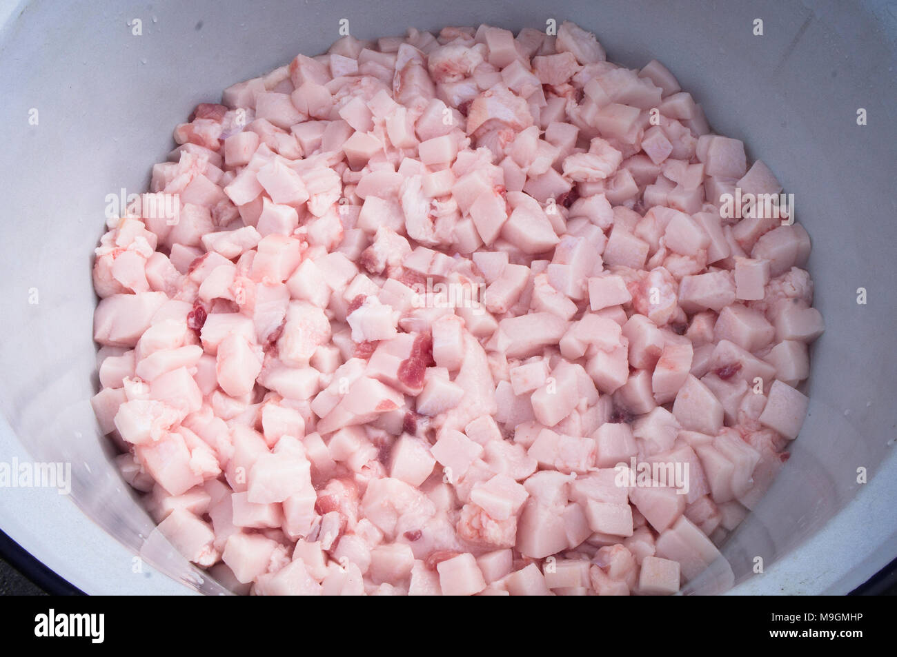 Tuer le temps du porc cochon,saindoux,graisse de porc Banque D'Images