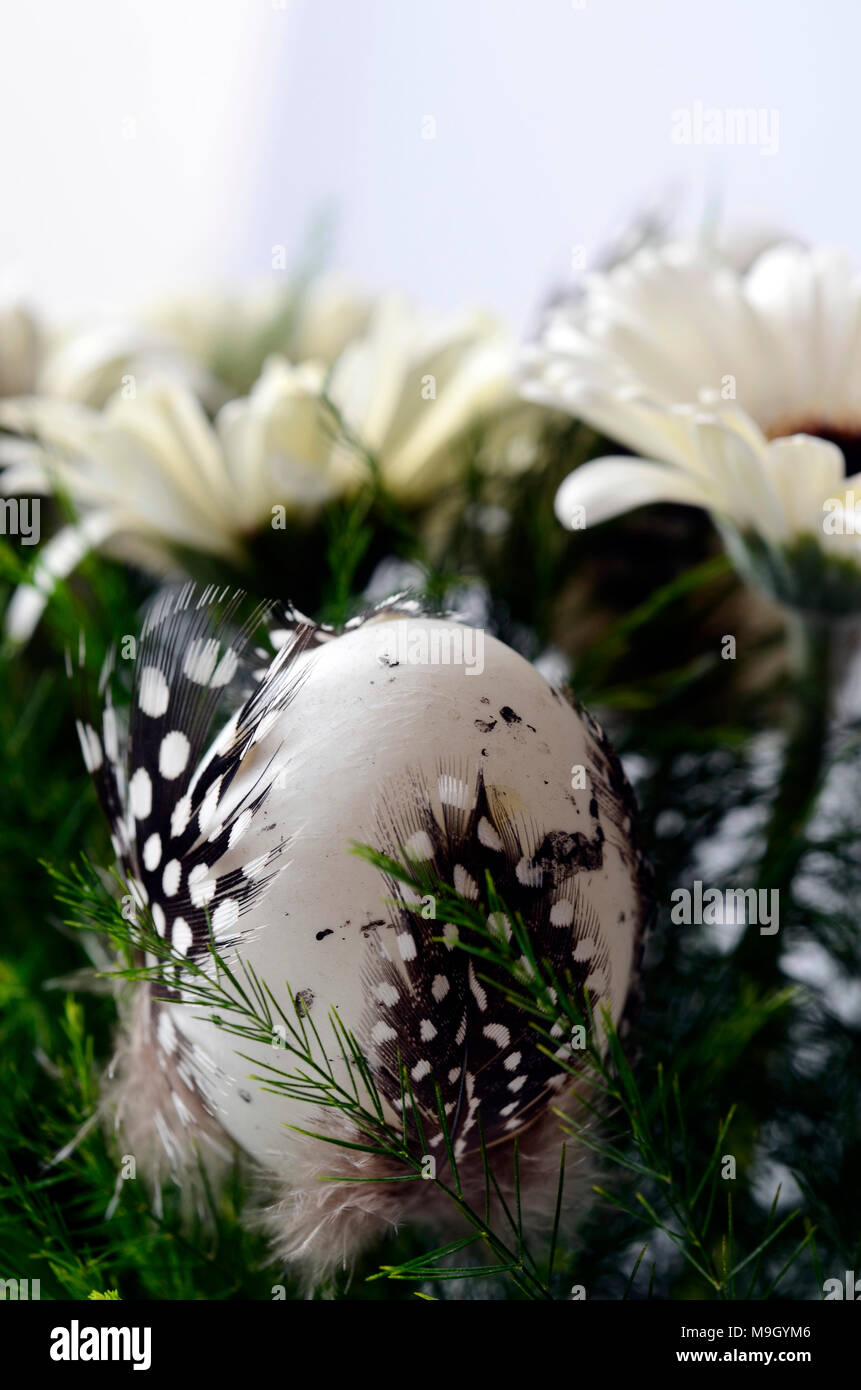 Jour de Pâques bouquet, fleurs blanches et d'oeufs de pâques avec des plumes d'oiseau Banque D'Images