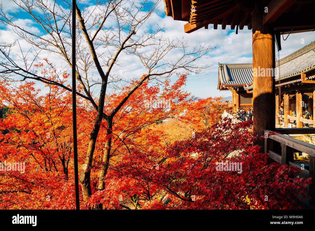 Le temple Kiyomizu-dera avec automne érable à Kyoto, Japon Banque D'Images