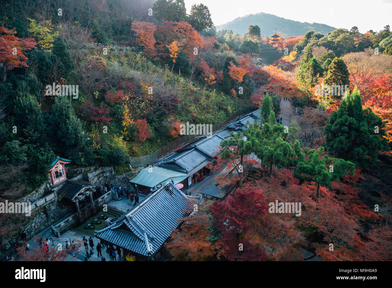 Le temple Kiyomizu-dera avec automne érable à Kyoto, Japon Banque D'Images