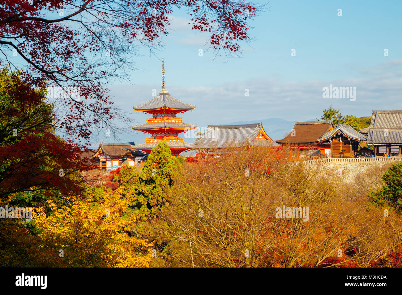 Le temple Kiyomizu-dera avec automne érable coloré à Kyoto, Japon Banque D'Images