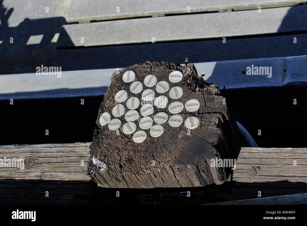 Des bouchons de bière incrustés sur un pilier de bois du quai au terminal du pêcheur, Seattle Banque D'Images