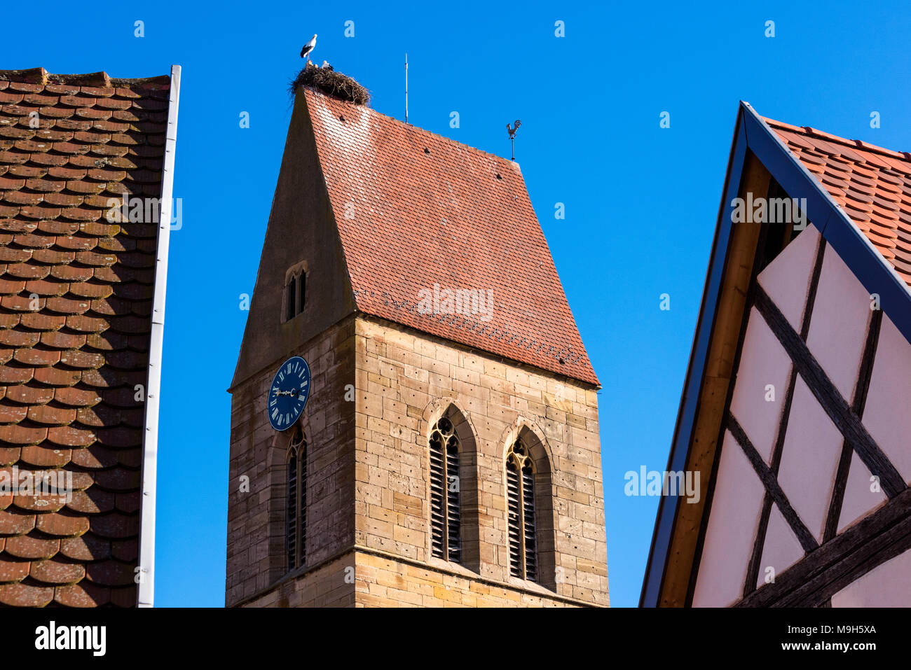 Les cigognes nichant sur le toit de l'église dans le village médiéval d'Eguisheim, membre de la 'Les plus beaux villages de France', Route des Vins d'Alsace, Fr Banque D'Images