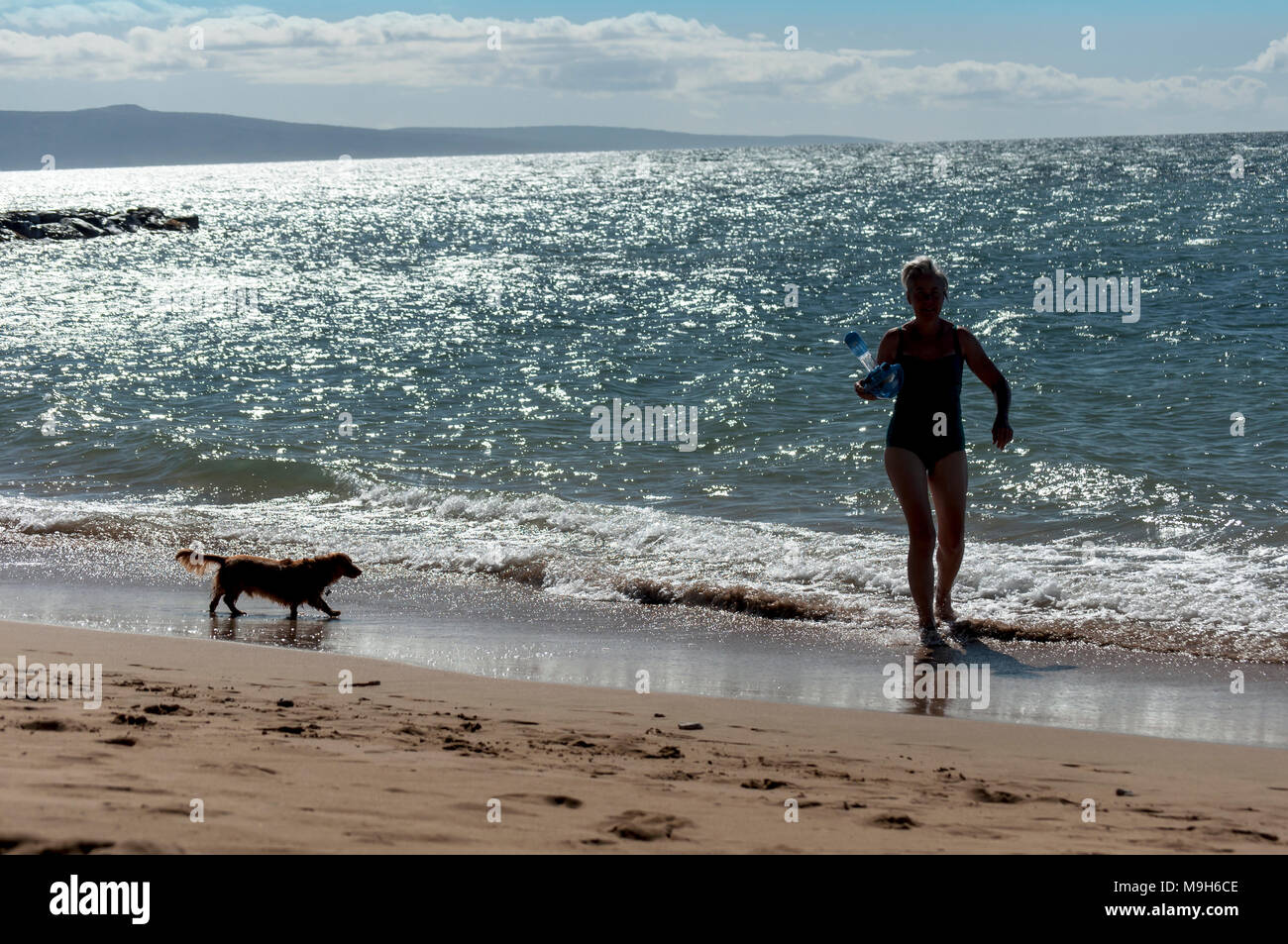 Une femme et son chien jouant dans l'eau sur la plage d'un jour bleu-ciel, Maui, Hawaii, USA Banque D'Images