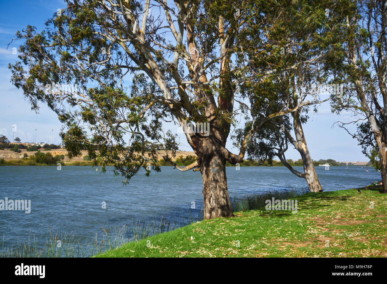 Le paysage traditionnel dans l'Australie du Sud, Australie. Murray Bridge ville оn Murray River. Banque D'Images