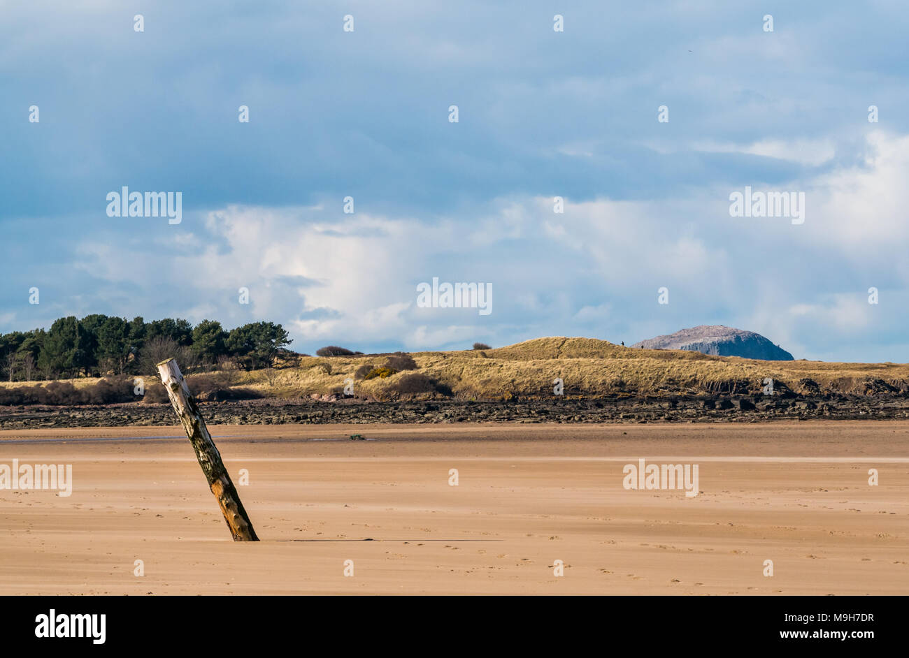 Vestiges d'un ancien mât en bois sur la plage avec Bass Rock en arrière-plan, John Muir Country Park, Belhaven Bay, Écosse, Royaume-Uni Banque D'Images