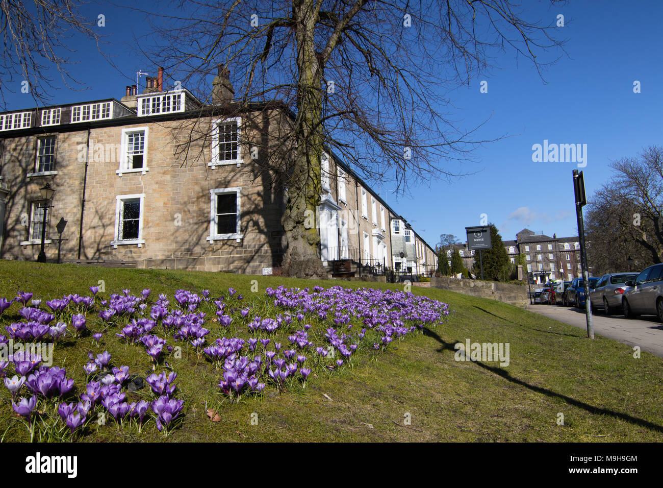 Un beau matin de printemps dans la région de Harrogate, North Yorkshire, Angleterre, Royaume-Uni. Banque D'Images